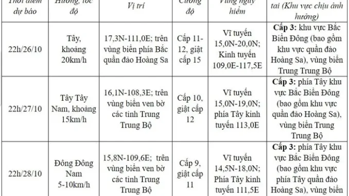 Bão số 6 TRAMI gây sóng biển cao 9 mét, nước dâng trên đất liền