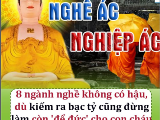 8 ngành nghề không có h ậu, dù kiếm ra bạc t ỷ cũng đừng làm còn ‘để đức’ cho đời con đời cháu