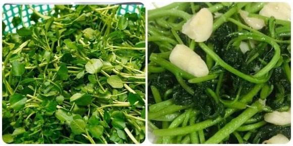 rau tốt nhất thế giới