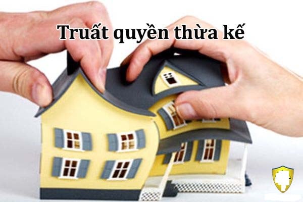 truat-quyen-thua-ke-1320 Những trường hợp con cái bị truất quyền thừa kế