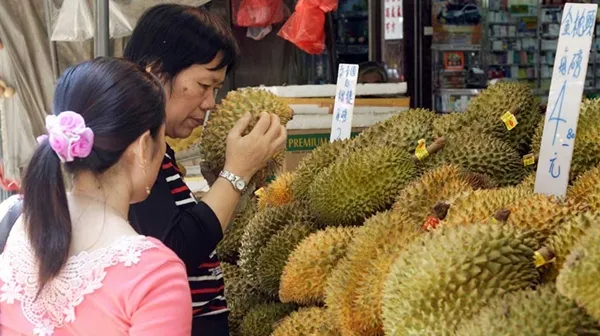 Sầu riêng “nhúng thuốc” là nhúng vào chất gì, ăn vào có nguy cơ gì không? ảnh 3