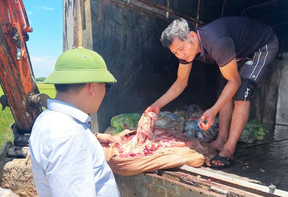 Chặn hơn 1 tấn nội tạng bốc mùi hôi thối tại Hà Tĩnh