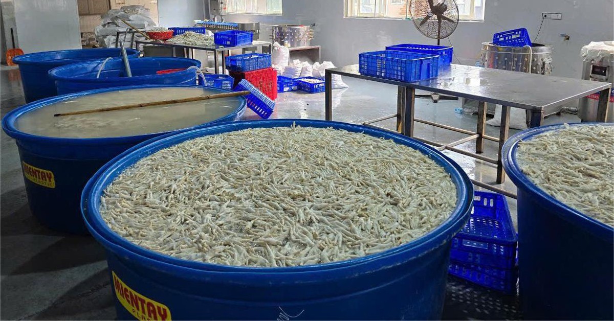 Tạm giữ hơn 13 tấn chân gà ngâm hóa chất chuẩn bị đưa ra thị trường - Tuổi Trẻ Online