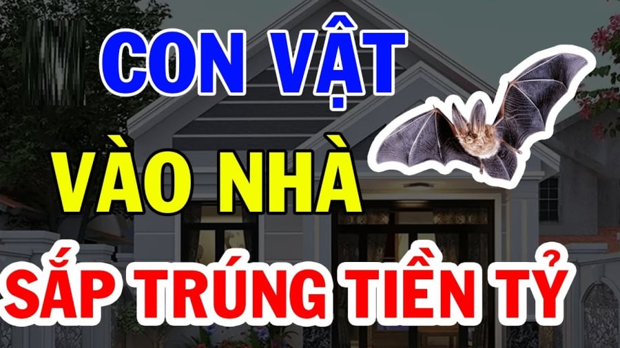 con-vat-de-tu-than-tai-1201 4 con vật Đệ Tử Thần Tài, vào nhà mang theo Tiền của, chớ dại mà xua đuổi