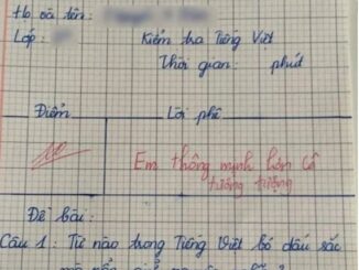 Cô giáo hỏi “Từ nào bỏ dấu sắc mà nghĩa không thay đổi?”, đáp án của học sinh tiểu học nhận điểm 10 tuyệt đối