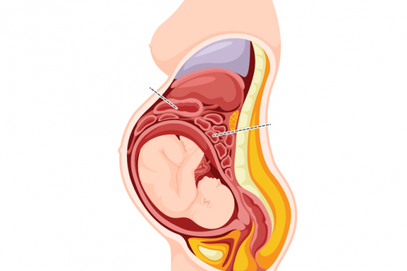 quan hệ khi mang thai, mang thai, quan hệ khi mang thai, quan hệ tình dục, quan hệ tình dục khi mang thai
