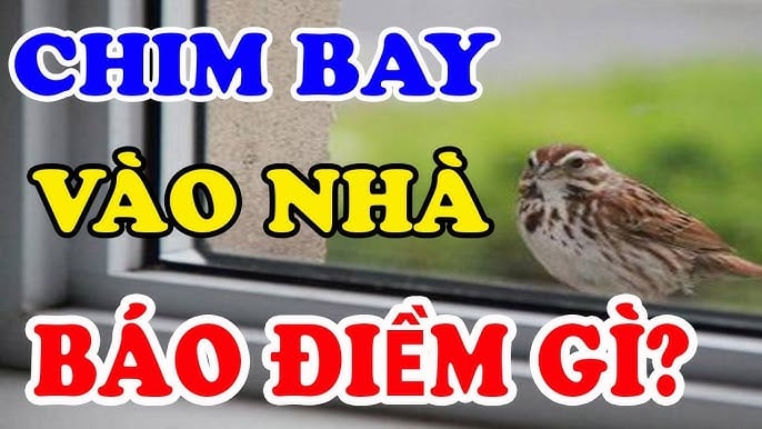 diem-1405 diem