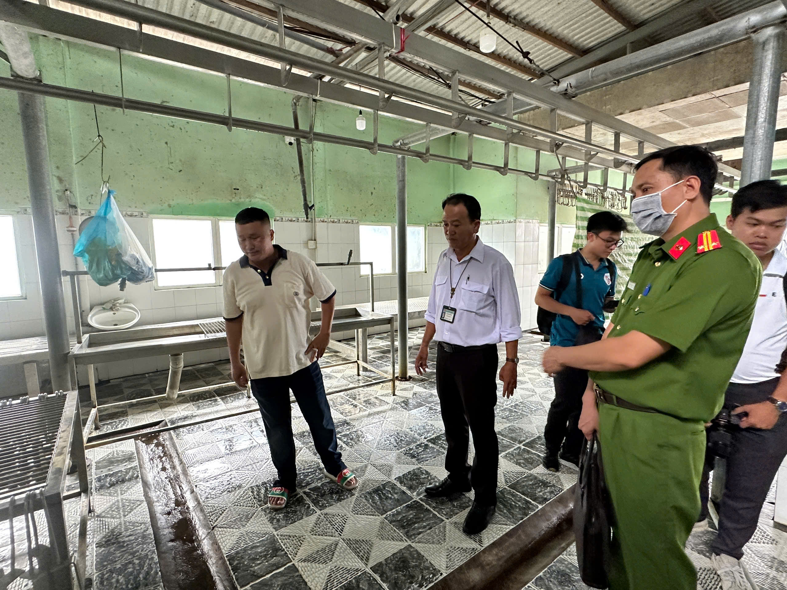 heo-17488698234872006967714 heo bệnh - Ảnh 2.