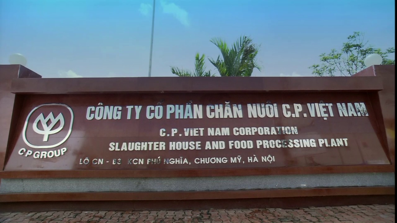 Giới thiệu Công ty Cổ phần Chăn nuôi C.P. Việt Nam | VN Version