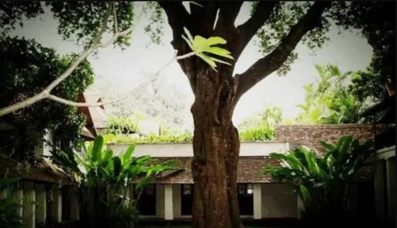 Tường chồng tường, cây chắn hiên, nhà tan người vong, phong thủy nhà ở