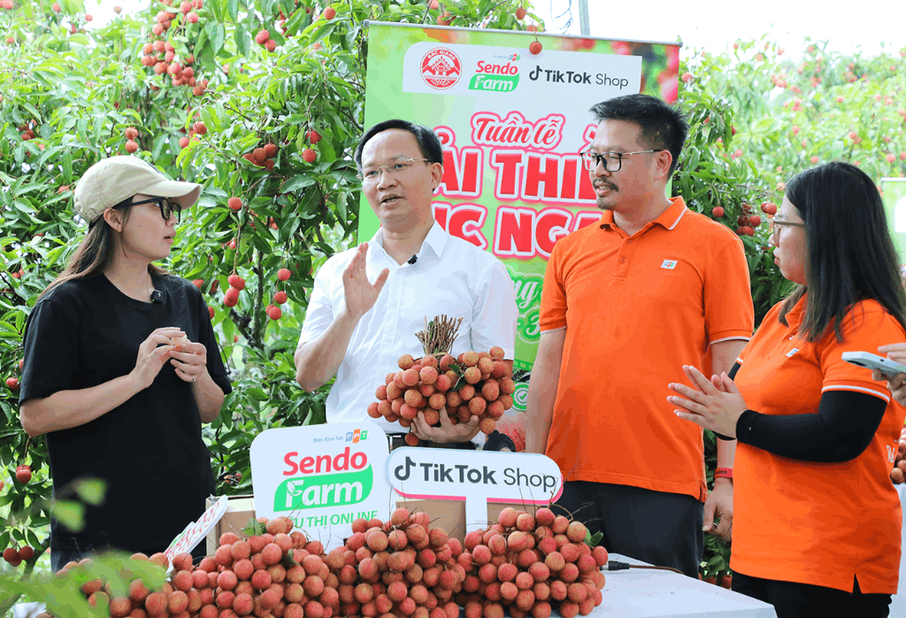 Bắc Giang: Phát động Tuần lễ vải thiều Lục Ngạn - Tự hào nông sản Việt - Chi tiết tin tức - Chuyên trang An toàn giao thông tỉnh Bắc Giang