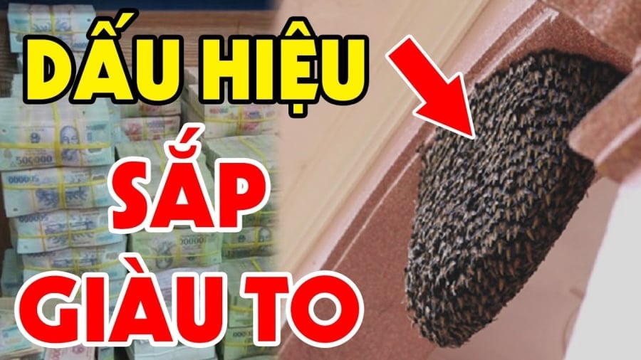giau-1224 Dấu hiệu nhà sắp giàu to