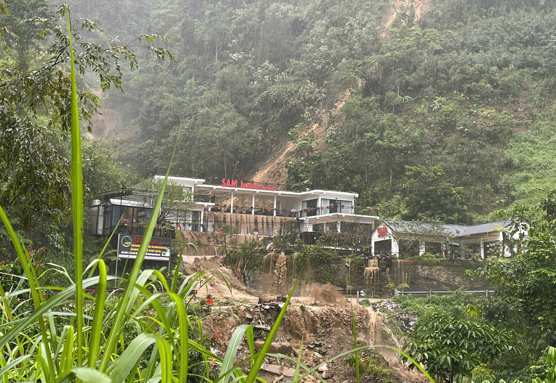 tu-le-2396 tu le.jpg