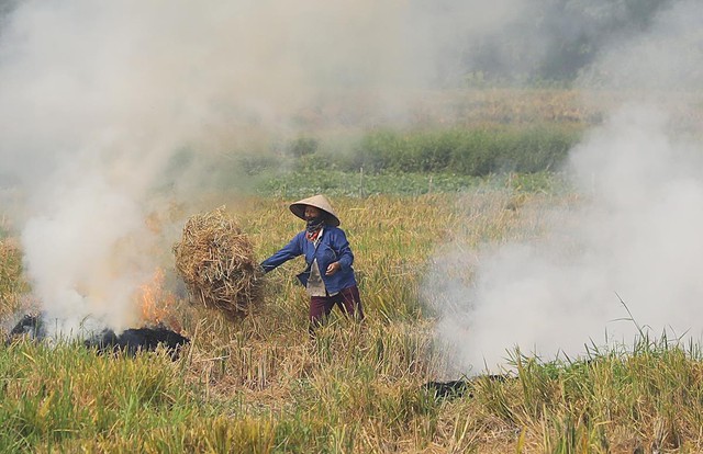 Dùng máy bay không người lái để phát hiện tình trạng đốt rơm rạ ở Hà Nội- Ảnh 2.