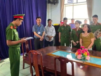 Bắt tạm giam và khám xét chỗ ở của Lê Thị Thúy- Ảnh 1.