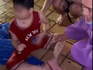 Sự thật thông tin cứu được bé trai bị lũ cuốn trôi từ Quảng Nam (cũ) ra Đà Nẵng- Ảnh 1.