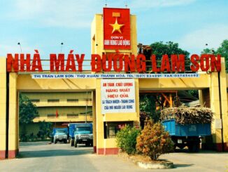 Phó Tổng Giám đốc Mía đường Lam Sơn Nguyễn Xuân Lam qua đời ở tuổi 51- Ảnh 2.