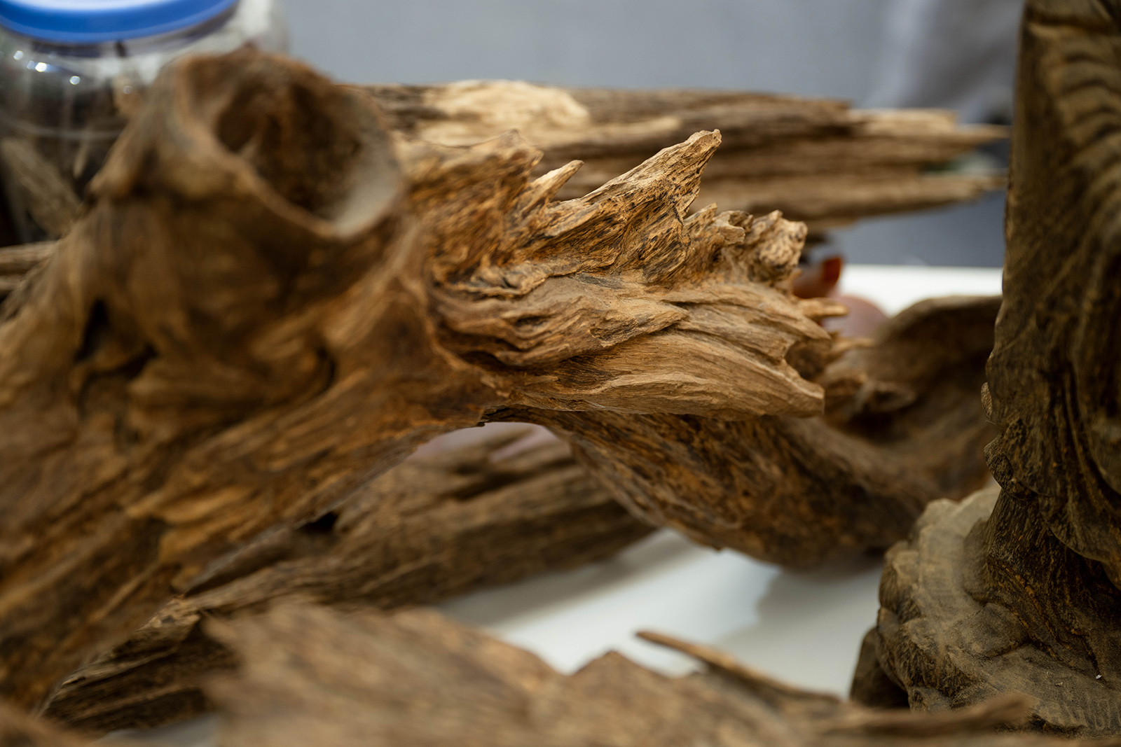 700 triệu đồng cho một "khối gỗ" hình rồng ở Hà Nội: Vì sao chủ nhân không bán?- Ảnh 6. 700 triệu đồng cho một "khối gỗ" hình rồng ở Hà Nội: Vì sao chủ nhân không bán?- Ảnh 6.