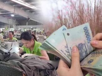 Cụ thể, người lao động sẽ tiếp tục được tham gia Chợ Tết Công đoàn Xuân 2026, diễn ra trực tiếp tại Hà Nội và TP. HCM, đồng thời kết nối trực tuyến qua website chương trình.