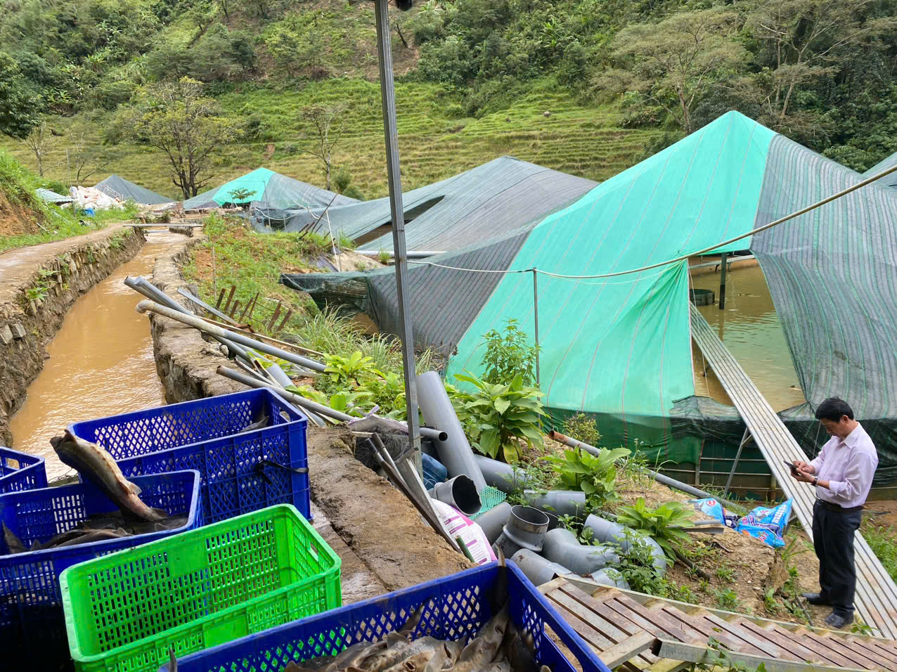 Sạt lở núi làm chết gần 70 tấn cá tầm, thiệt hại hơn 8 tỉ đồng- Ảnh 1. Sạt lở núi làm chết gần 70 tấn cá tầm, thiệt hại hơn 8 tỉ đồng- Ảnh 1.
